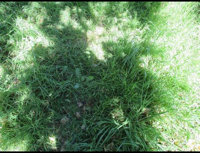 LAND FOR SALE IN DIE EILAND